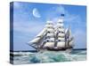 Sailing The Ocean 6-Ata Alishahi-Stretched Canvas