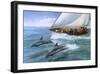 Sailing the Wind-Kevin Daniel-Framed Art Print