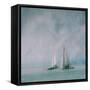 Sailing Trip-Roswitha Schleicher-Schwarz-Framed Stretched Canvas