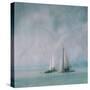 Sailing Trip-Roswitha Schleicher-Schwarz-Stretched Canvas