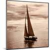 Sailing V-null-Mounted Art Print