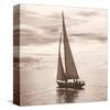 Sailing V-null-Stretched Canvas