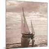 Sailing VII-null-Mounted Premium Giclee Print