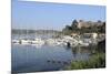 Sailing Yachts and Other Boats Moored at Port Cros Island in Front of Fort De L'Eminence Castle-Nick Upton-Mounted Photographic Print