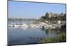 Sailing Yachts and Other Boats Moored at Port Cros Island in Front of Fort De L'Eminence Castle-Nick Upton-Mounted Photographic Print