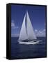 Sailing-null-Framed Stretched Canvas