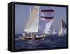 Sailing-null-Framed Stretched Canvas