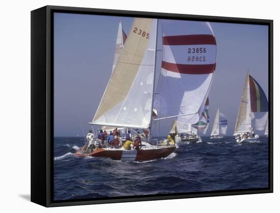 Sailing-null-Framed Stretched Canvas