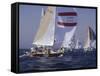 Sailing-null-Framed Stretched Canvas