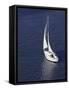 Sailing-null-Framed Stretched Canvas