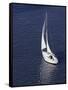 Sailing-null-Framed Stretched Canvas