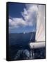 Sailing-null-Framed Stretched Canvas