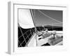 Sailing-null-Framed Premium Photographic Print