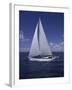 Sailing-null-Framed Photographic Print