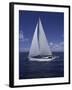 Sailing-null-Framed Photographic Print