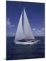 Sailing-null-Mounted Photographic Print