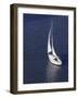 Sailing-null-Framed Photographic Print