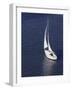 Sailing-null-Framed Photographic Print