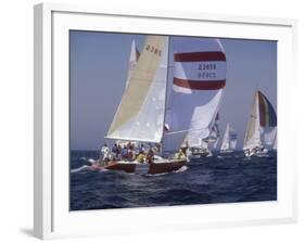 Sailing-null-Framed Photographic Print