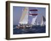 Sailing-null-Framed Photographic Print