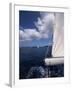 Sailing-null-Framed Photographic Print