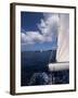 Sailing-null-Framed Photographic Print