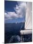Sailing-null-Mounted Photographic Print