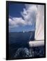 Sailing-null-Framed Photographic Print