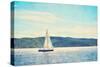 Sailing-Denise Brown-Stretched Canvas