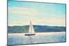 Sailing-Denise Brown-Mounted Art Print