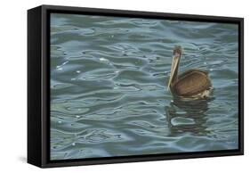 Sailing-Luis Aguirre-Framed Stretched Canvas