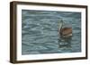 Sailing-Luis Aguirre-Framed Giclee Print