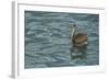 Sailing-Luis Aguirre-Framed Giclee Print