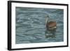 Sailing-Luis Aguirre-Framed Giclee Print