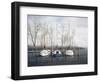 Sailor's Dream-David Knowlton-Framed Giclee Print