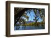 Sailors Cutting in autumn, Waitaki Valley, North Otago, South Island, New Zealand-David Wall-Framed Photographic Print