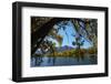 Sailors Cutting in autumn, Waitaki Valley, North Otago, South Island, New Zealand-David Wall-Framed Photographic Print