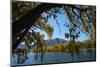 Sailors Cutting in autumn, Waitaki Valley, North Otago, South Island, New Zealand-David Wall-Mounted Photographic Print