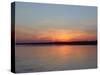 Sailors Delight-Audrey-Stretched Canvas