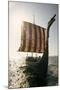 Sailors Man a Danish Replica of a Five-Hundred-Year-Old Viking Ship., 1970 (Photo)-Ted Spiegel-Mounted Giclee Print