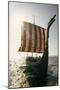 Sailors Man a Danish Replica of a Five-Hundred-Year-Old Viking Ship., 1970 (Photo)-Ted Spiegel-Mounted Giclee Print