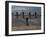 Sailors Man the Rails on the AmphibioUS Assault Ship USS Essex-Stocktrek Images-Framed Photographic Print