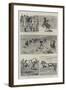 Sailors on Horseback, the Navy Cup at Gibraltar-null-Framed Giclee Print