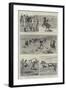 Sailors on Horseback, the Navy Cup at Gibraltar-null-Framed Giclee Print
