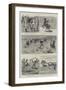 Sailors on Horseback, the Navy Cup at Gibraltar-null-Framed Giclee Print