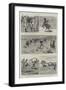 Sailors on Horseback, the Navy Cup at Gibraltar-null-Framed Giclee Print