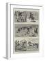 Sailors on Horseback, the Navy Cup at Gibraltar-null-Framed Giclee Print