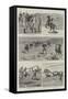 Sailors on Horseback, the Navy Cup at Gibraltar-null-Framed Stretched Canvas