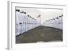 Sailors Prepare to Man the Rails on the Flight Deck of USS Harry S. Truman-null-Framed Photographic Print