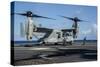 Sailors Run to Safety after They Chock and Chain a Mv-22 Osprey-null-Stretched Canvas